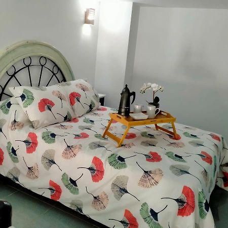 Precioso Loft En Conil De La Frontera Διαμέρισμα Εξωτερικό φωτογραφία