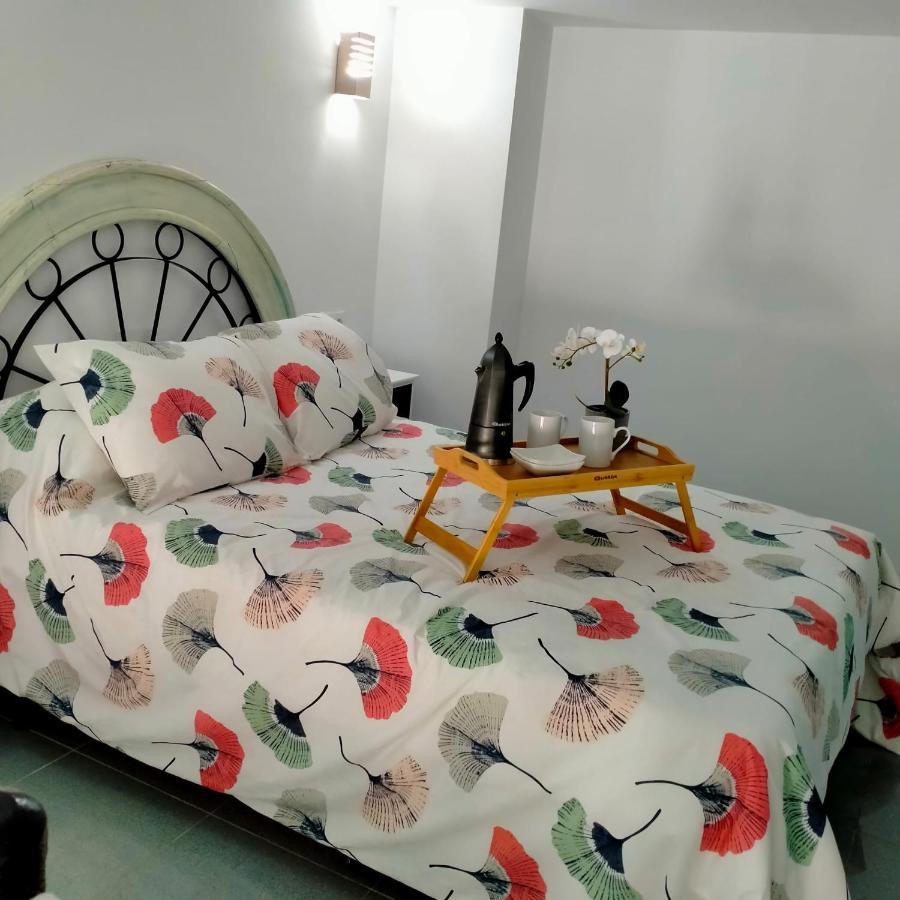 Precioso Loft En Conil De La Frontera Διαμέρισμα Εξωτερικό φωτογραφία